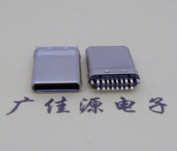 type-c16p拉伸公頭  usb 3.1 type-c公頭