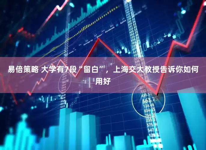 易倍策略 大学有7段“留白”，上海交大教授告诉你如何用好