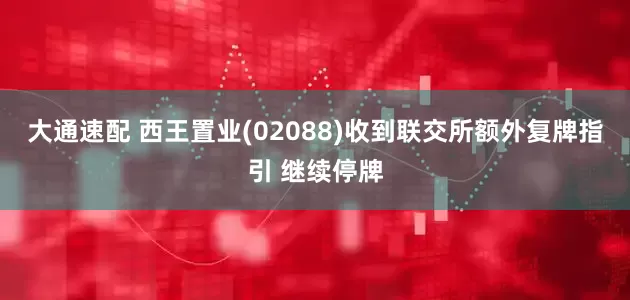 大通速配 西王置业(02088)收到联交所额外复牌指引 继续停牌