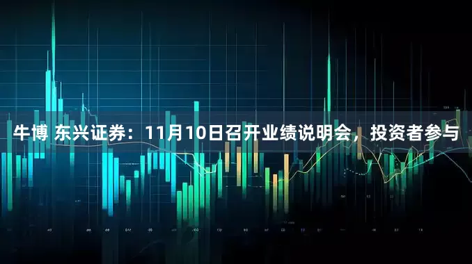 牛博 东兴证券：11月10日召开业绩说明会，投资者参与